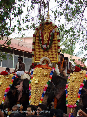 Elephant carrying Goddess Bhagavati during Thalapoli pooram festival in Thiruvilwamala