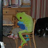 November 2008