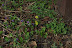 DSCF3548.jpg