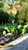 DSCF3445.jpg