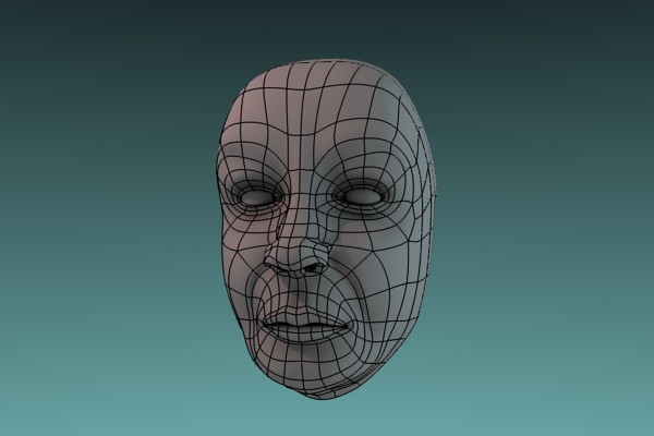 A face with wireframe