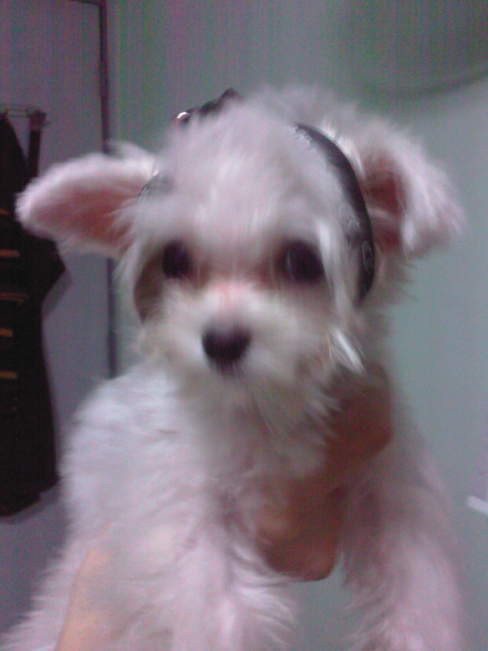 [Photo060.jpg]