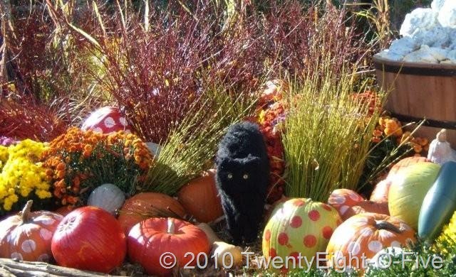 [New England, Canada 10-10 372 (2).jpg]