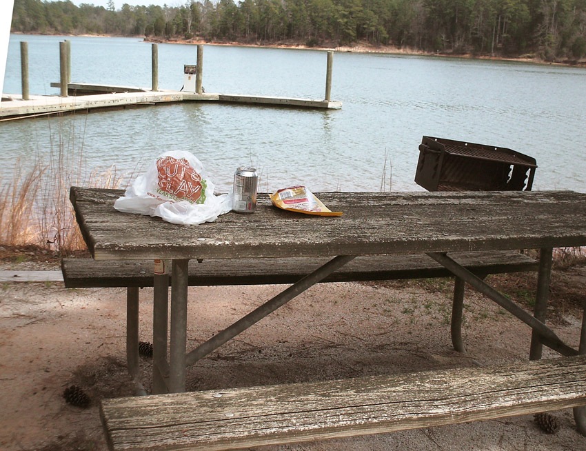 [picnic lunch[2].jpg]