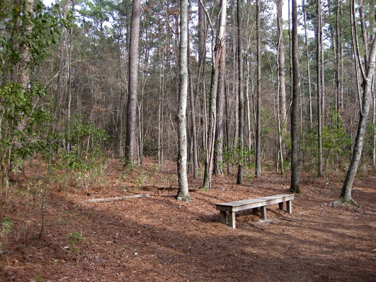 [0Rest Bench on Trail[2].jpg]