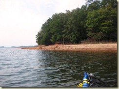 shore from kayak
