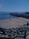 Monterey Breakwater - Cool Diving spot in NorCal