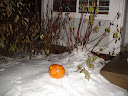 DSC06026.JPG