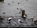 Iceland - 345.jpg