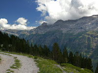 Pineta Photo