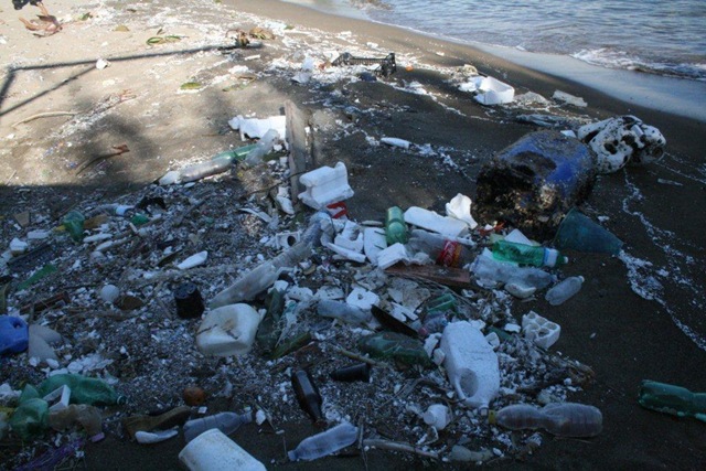 [spiaggia poggio[5].jpg]