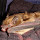 North American Bat Tracker