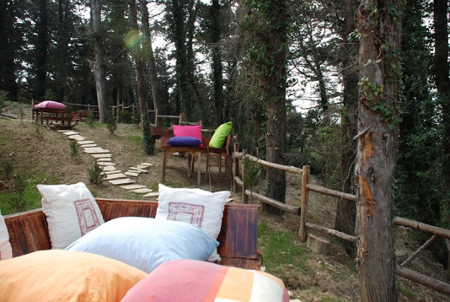 Ağva Orman Evleri Ağva Orman Evleri Otel, Ağva Forest Lodge, Ağva