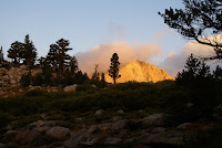 DSC03017.JPG Photo