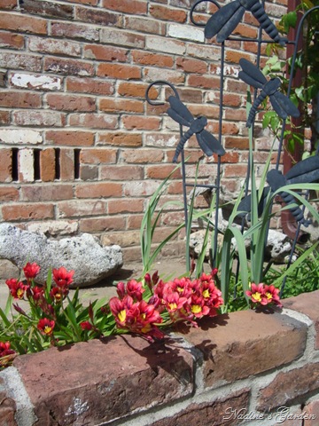 [mom's garden 057[12].jpg]