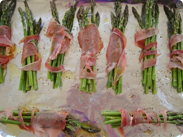 salmon 004