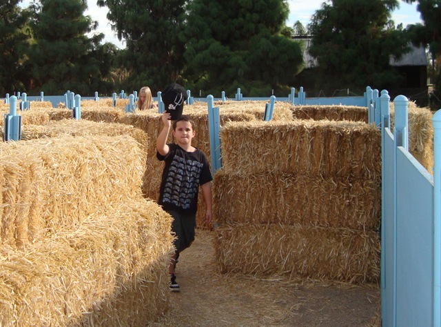 [punkin patch 013[5].jpg]