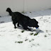 DSC00792.JPG