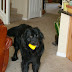 DSC00798.JPG