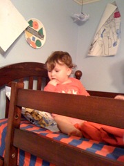 micahbed2 micahbed2