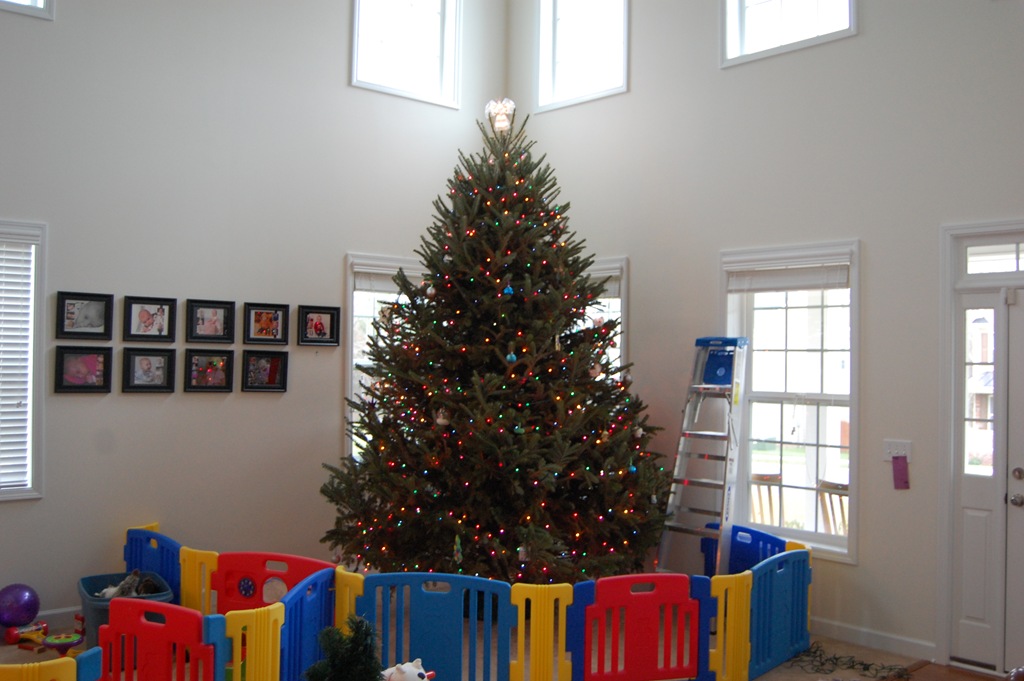 [Christmas Tree 2010 023[4].jpg]
