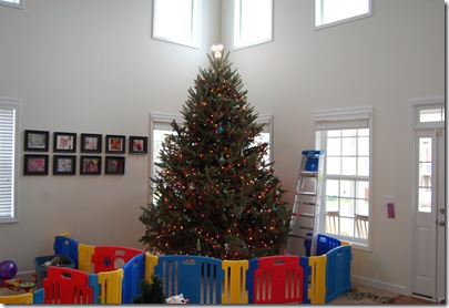 Christmas Tree 2010 023