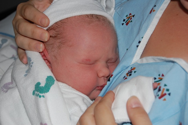[DSC_0822[2].jpg]