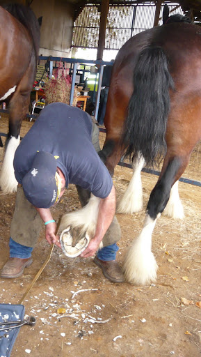 Farrier Weekend | Horse Shoeing and Shoemaking competition for Farriers from across the country | Church Farm, Downham Market, West Norfolk, England, UK