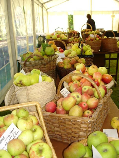 Apple Day 2011 | Come and visit Stow Hall Gardens for its Bi-Annual Apple Day | Stow Hall Gardens, Downham Market, West Norfolk, England, UK