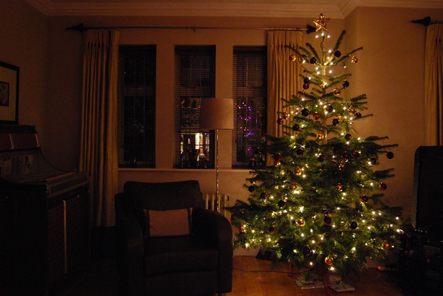 [Christmas tree in evening[2].jpg]