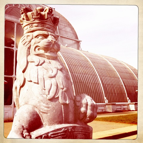 March - a lion (2) March - a lion (2)