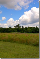 DSC_1288_edited DSC_1288_edited