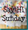 Say Hi Sunday Blog Hop