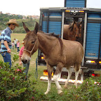 DSC04055.JPG