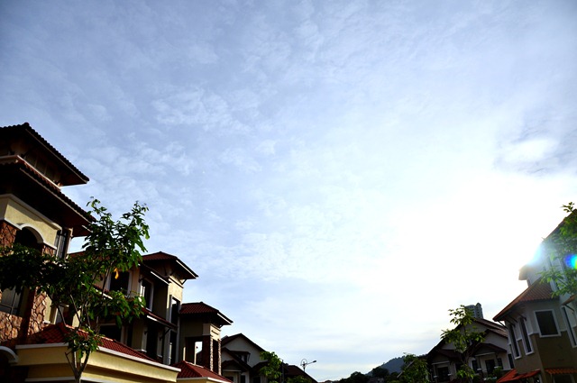 [DSC_51517.jpg]