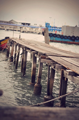 [DSC_774811.jpg]