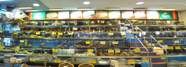 [Untitled_Panorama110.jpg]
