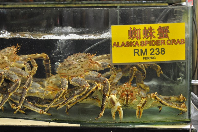 [DSC_92763.jpg]