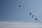 Sample pictures from The Prague Fringe photo gallery