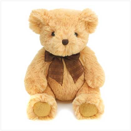 [39622-huggable-teddy-bear[5].jpg]
