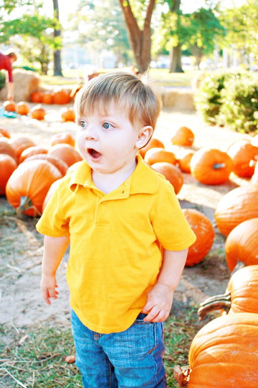 PumpkinPatch 072