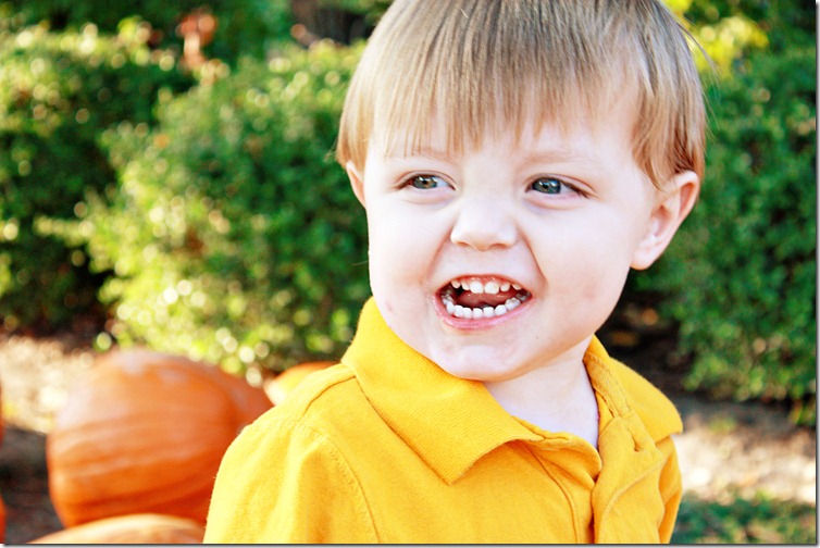 PumpkinPatch 061