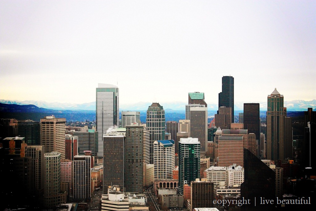 [seattle[13].jpg]