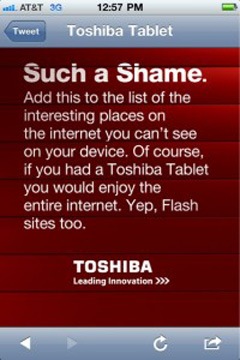 [toshibatablet-flashlg1[2].jpg]