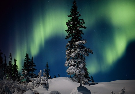 [aurora3[2].jpg]