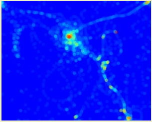 mouse heat map