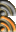 Feed