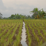 DSC_7600.JPG