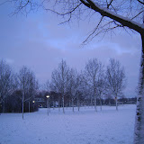 DSCN6311.JPG