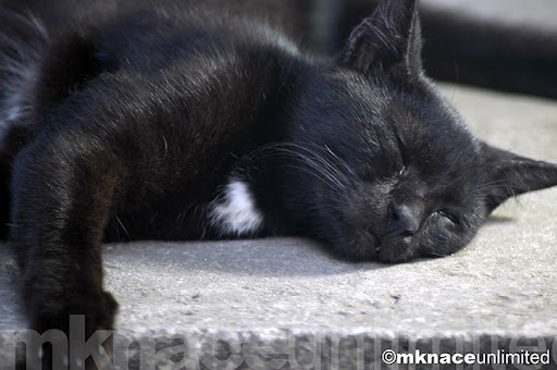 ©2010mknaceunlimited